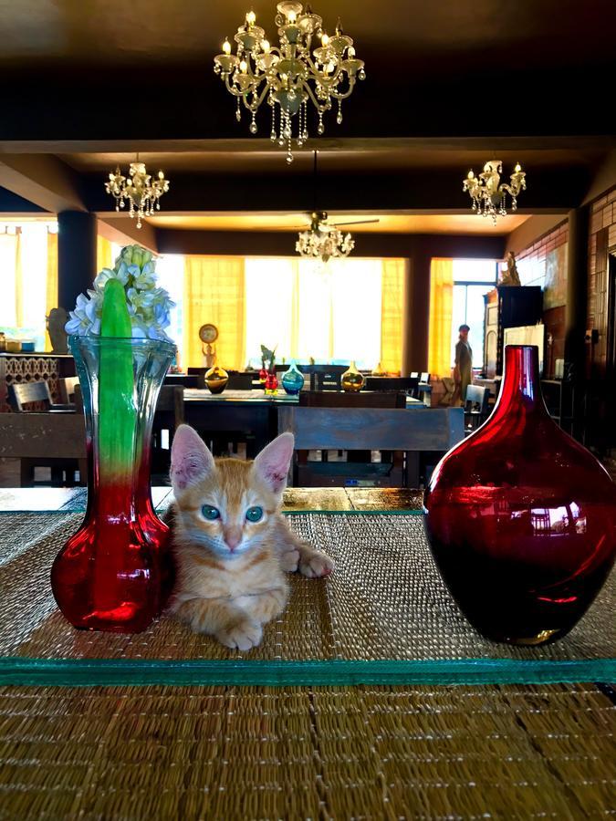 班加罗尔金莲花精品套房酒店 外观 照片